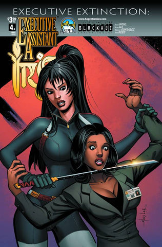 EXECUTIVE ASSISTANT IRIS VOL 3 #4 CVR A LEI