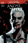 ANGEL & SPIKE #13 CVR B MELKINOV VAR