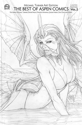 MICHAEL TURNER ART EDTION BEST OF ASPEN COMICS VOL 02 CVR B