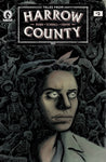 TALES FROM HARROW COUNTY FAIR FOLK #2  CVR A SCHNALL