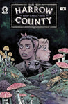 TALES FROM HARROW COUNTY FAIR FOLK #3  CVR A SCHNALL