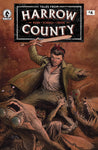 TALES FROM HARROW COUNTY FAIR FOLK #4  CVR B CROOK