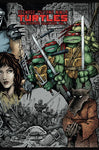 TMNT ULTIMATE COLL TP (IDW PUBLISHING) VOL 1