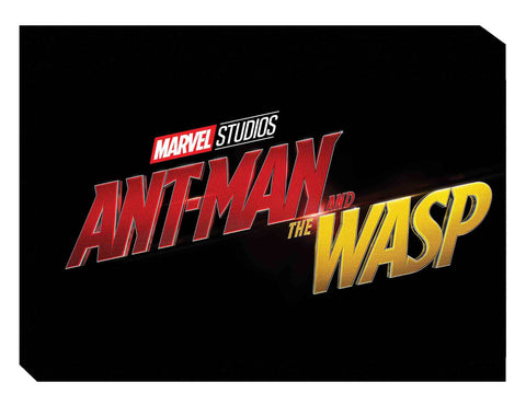 MARVELS ANT-MAN AND WASP ART OF MOVIE HC (MARVEL)
