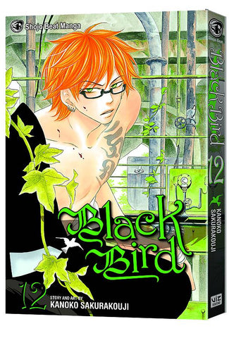 BLACK BIRD GN VOL 12