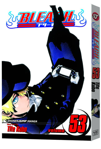 BLEACH GN VOL 53