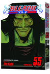 BLEACH GN VOL 55