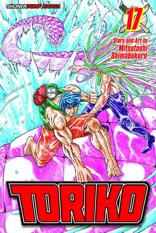 TORIKO GN VOL 17