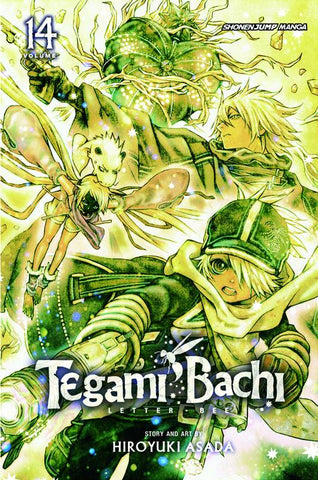 TEGAMI BACHI GN VOL 14