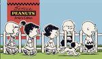 CHARLES SCHULZ PEANUTS ARTIST ED HC (NET)