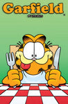 GARFIELD TP VOL 08