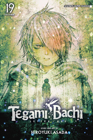 TEGAMI BACHI GN VOL 19