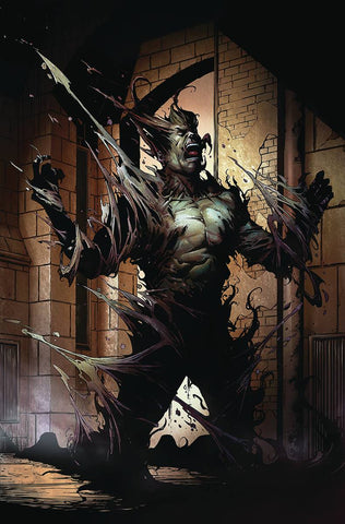 GFT SATANS HOLLOW #6 D CVR DESARDINS (MR)