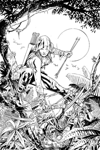 ROBYN HOOD THE HUNT #3 CVR A VITORINO