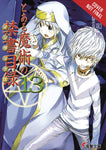 CERTAIN MAGICAL INDEX LIGHT NOVEL SC VOL 13