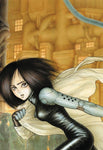 BATTLE ANGEL ALITA DELUXE ED HC VOL 02