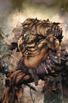 GRIMM FAIRY TALES #17 CVR D TOLIBAO
