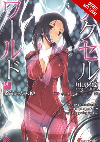 ACCEL WORLD LIGHT NOVEL SC VOL 14