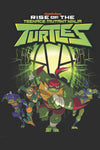 TMNT RISE OF THE TMNT TP VOL 01
