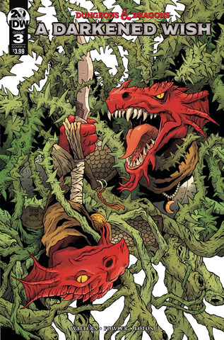 DUNGEONS & DRAGONS A DARKENED WISH #3 CVR A FOWLER