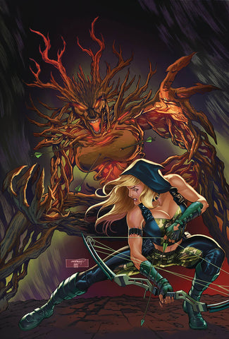 ROBYN HOOD OUTLAW #5  CVR B GOH
