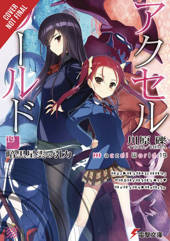 ACCEL WORLD LIGHT NOVEL SC VOL 19