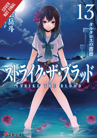 STRIKE THE BLOOD LIGHT NOVEL SC VOL 13