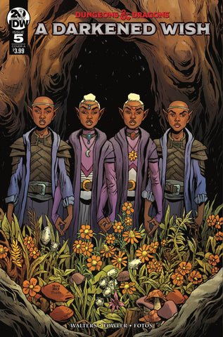 DUNGEONS & DRAGONS A DARKENED WISH #5  CVR A FOWLER