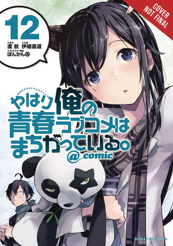YOUTH ROMANTIC COMEDY WRONG EXPECTED GN VOL 12