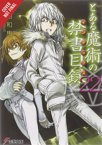 CERTAIN MAGICAL INDEX LIGHT NOVEL SC VOL 22