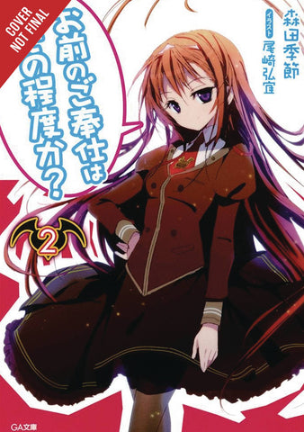YOU CALL THAT SERVICE LIGHT NOVEL SC VOL 02