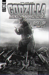 GODZILLA MONSTERS & PROTECTORS #1 CVR B PHOTO CVR