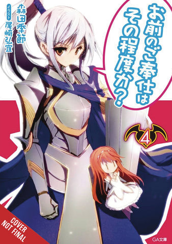 YOU CALL THAT SERVICE LIGHT NOVEL SC VOL 04
