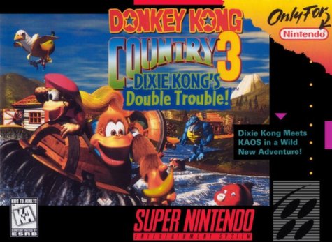 Donkey Kong Country 3 (SNES)